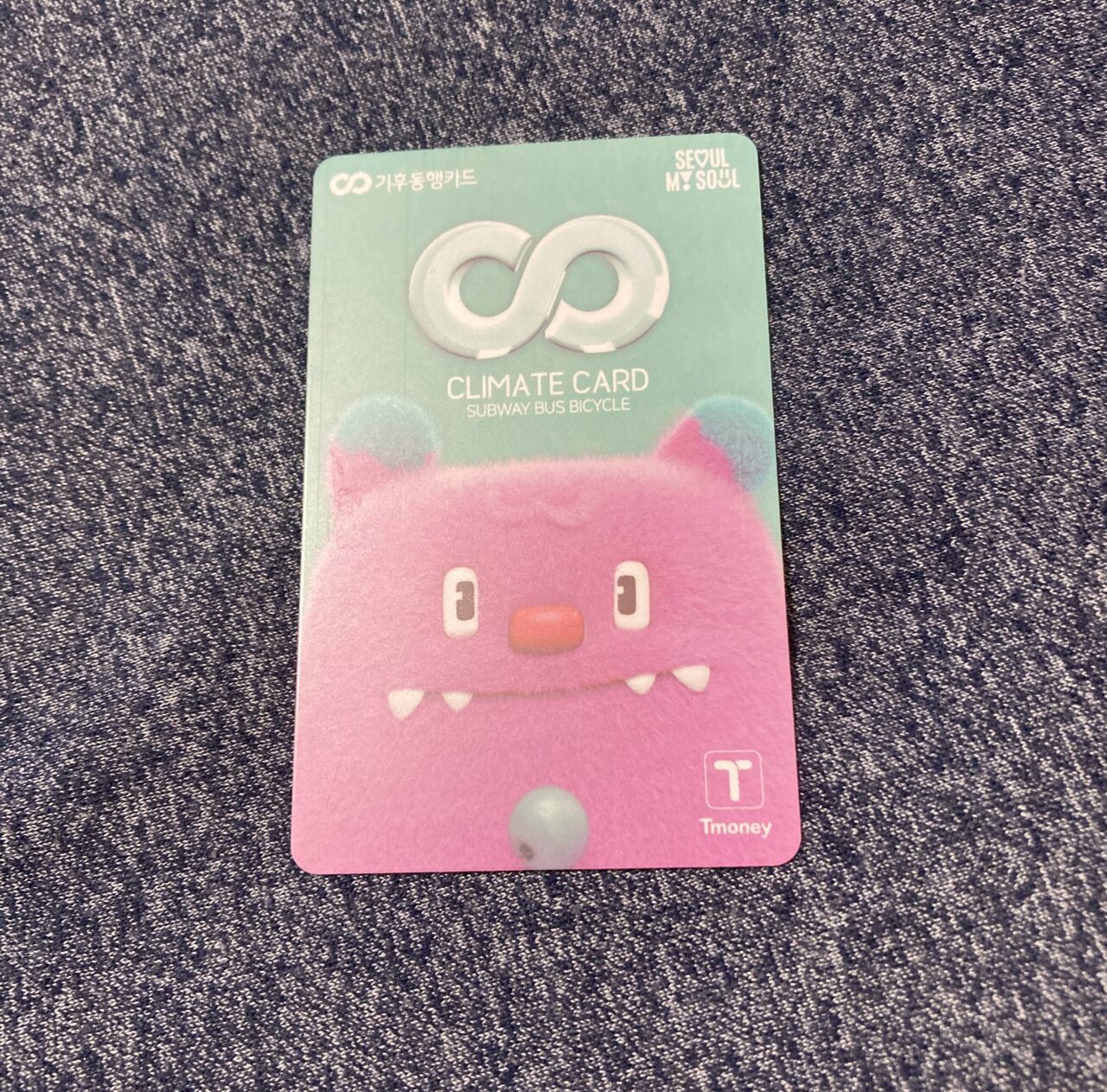 韓国旅行で実際に使った気候同行カード